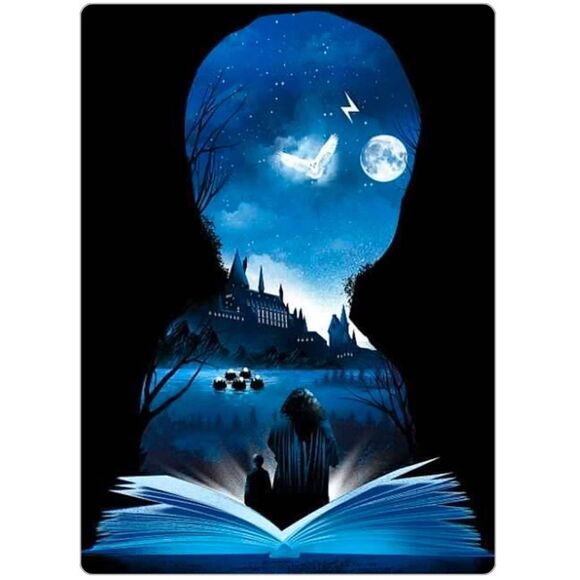 Harry Potter Magnet - Picture 3 of 6